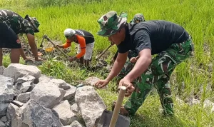 TMMD 128 Perkuat Infrastruktur Pertanian Gresik, Bangun Tanggul JUT Slempit