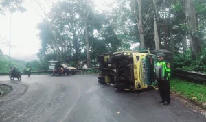 Truk Snack Terbalik di Tikungan Gumitir