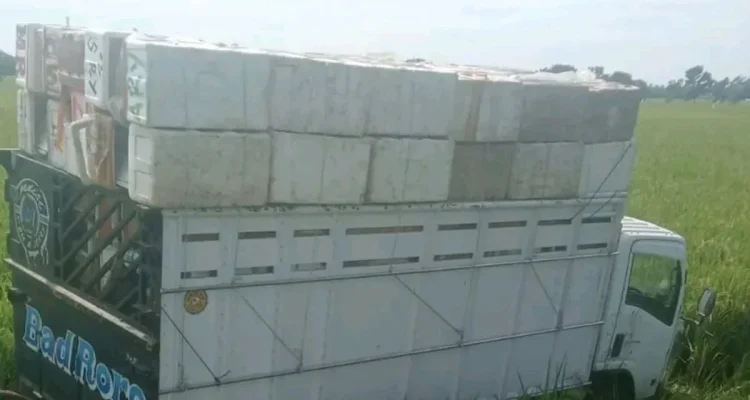 Truk Terperosok ke Parit Akibat Pengemudi Diduga Mengantuk di Bundaran Widasari Indramayu
