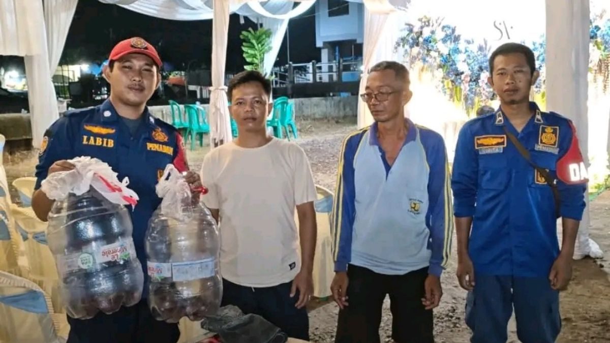 Ular Kobra Muncul di Dapur Hajatan Lohbener, Warga Panik Tengah Malam