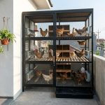 Urban Farming dan Ternak Mini: Solusi Hemat Lahan untuk Rumah Tipe 36