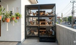 Urban Farming dan Ternak Mini: Solusi Hemat Lahan untuk Rumah Tipe 36