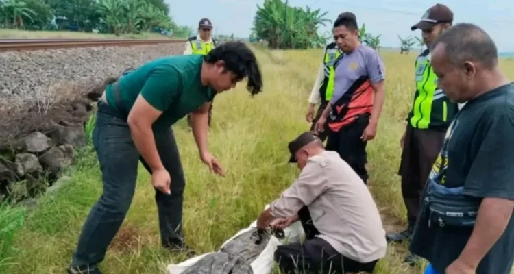 Wanita Cirebon Tewas Tertemper KA Manahan di Indramayu Dini Hari
