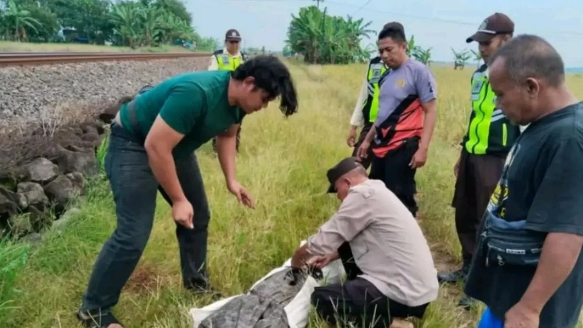Wanita Cirebon Tewas Tertemper KA Manahan di Indramayu Dini Hari
