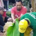 Warga Indramayu Sukacita Sambut Daging Kurban Blok Manggungan