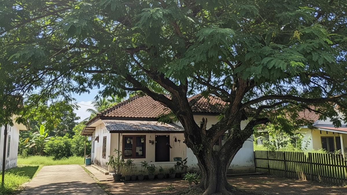 10 Pohon Manfaat yang Sering Ditanam Orang Tua untuk Teduh, Buah, dan Obat