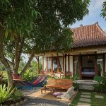 10 Pohon Pelindung untuk Halaman Rumah Pedesaan agar Tetap Sejuk di Musim Kemarau