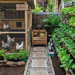 10 Ternak Mini untuk Menyuburkan Kebun Sayur dengan Pupuk Organik