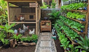 10 Ternak Mini untuk Menyuburkan Kebun Sayur dengan Pupuk Organik