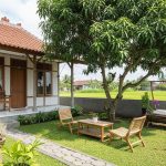 11 Pohon Buah Penyejuk Halaman Rumah Pedesaan, Teduh Alami