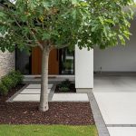 7 Jenis Pohon Buah yang Akarnya Tidak Membuat Carport Bergelombang, Solusi Hijau untuk Lah...