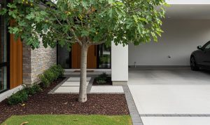 7 Jenis Pohon Buah yang Akarnya Tidak Membuat Carport Bergelombang, Solusi Hijau untuk Lah...