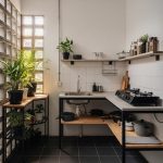 7 Tanaman Dapur Tahan Panas, Kebun Tetap Segar