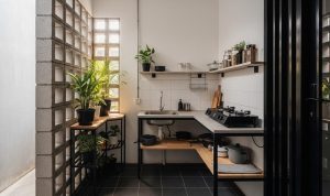 7 Tanaman Dapur Tahan Panas, Kebun Tetap Segar