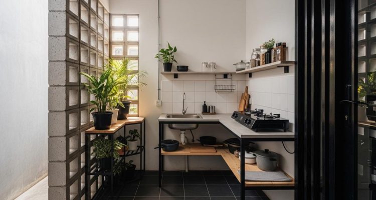 7 Tanaman Dapur Tahan Panas, Kebun Tetap Segar