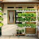 9 Ide Kebun Hidroponik Mini untuk Rumah Kontrakan Sempit