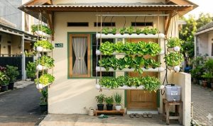 9 Ide Kebun Hidroponik Mini untuk Rumah Kontrakan Sempit