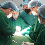 Arti Stase: Jenis dan Peran Krusial dalam Pendidikan Dokter