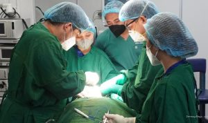 Arti Stase: Jenis dan Peran Krusial dalam Pendidikan Dokter