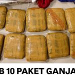 Bareskrim Ungkap Peredaran Ganja Antarpulau