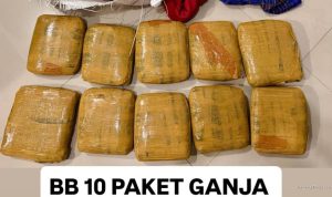 Bareskrim Ungkap Peredaran Ganja Antarpulau