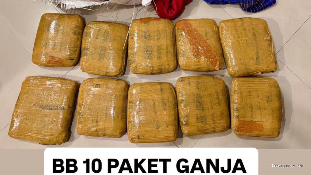 Bareskrim Ungkap Peredaran Ganja Antarpulau