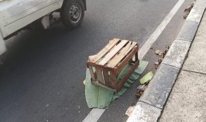 Bayi Ditemukan Meninggal di Pinggir Jalan Fly Over Depok