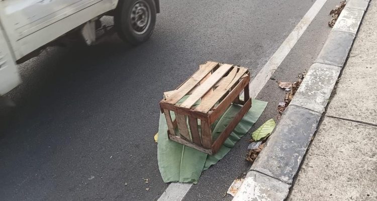 Bayi Ditemukan Meninggal di Pinggir Jalan Fly Over Depok