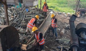 Bioenergi Berpotensi Buka 150 Ribu Lapangan Kerja