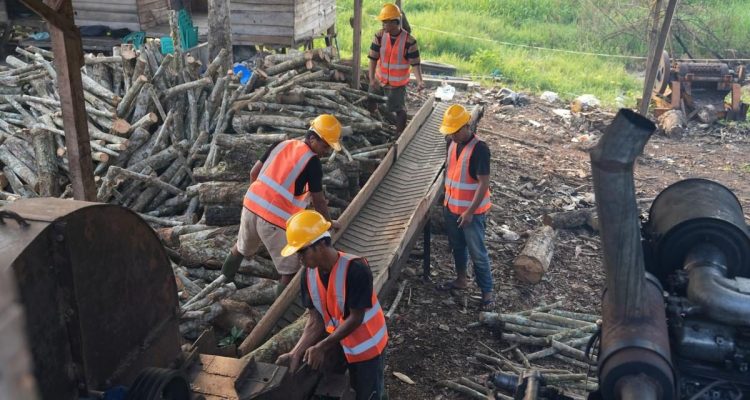 Bioenergi Berpotensi Buka 150 Ribu Lapangan Kerja