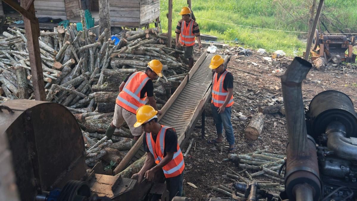 Bioenergi Berpotensi Buka 150 Ribu Lapangan Kerja