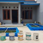 Budidaya Lele di Halaman Cor: Tumbuh Optimal, Panen Melimpah