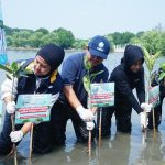 Bukalapak Bersinergi dengan Visi Jaya dan Pelindo untuk Penanaman Mangrove