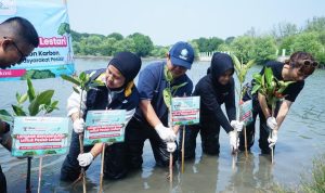 Bukalapak Bersinergi dengan Visi Jaya dan Pelindo untuk Penanaman Mangrove