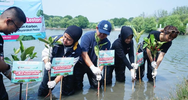 Bukalapak Bersinergi dengan Visi Jaya dan Pelindo untuk Penanaman Mangrove