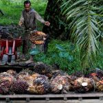 CPO Wajib Lapor BUMN, Pembeli Cemas?