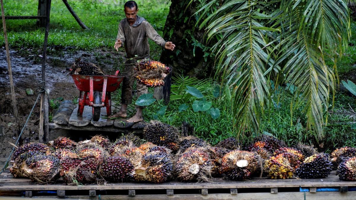 CPO Wajib Lapor BUMN, Pembeli Cemas?
