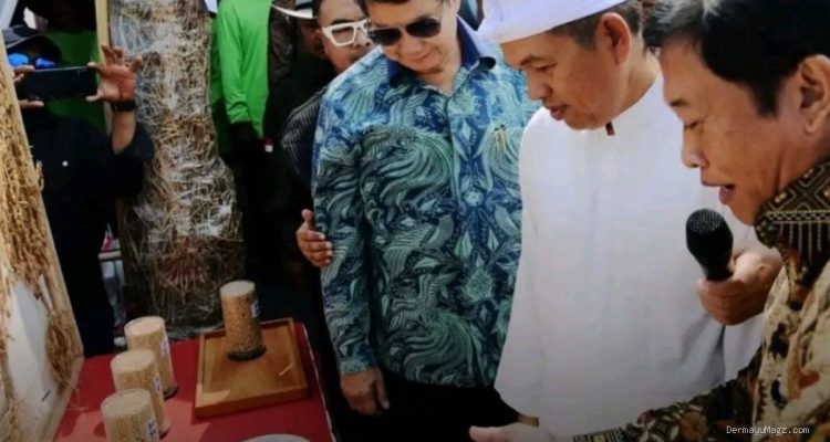 Dedi Mulyadi & Hashim: Gerakan Swasembada Kedelai dari Indramayu