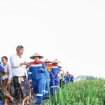Desa Energi Mandiri Keliki: Surya untuk Ketahanan Pangan dan Pengelolaan Sumber Daya