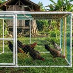 Desain Kandang Ayam Umbaran Portable: Solusi Fleksibel untuk Lahan Terbatas