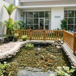 Desain Kolam Ikan Aman untuk Rumah dengan Lansia dan Balita
