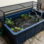Desain Kolam Ikan Fiberglass Portabel untuk Rumah Kontrak di Lahan Sempit