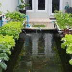 Desain Pertanian Terpadu Sederhana untuk Halaman Belakang Rumah