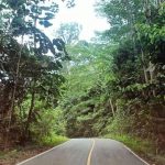 Dishut Kaltim Paparkan 5 Prioritas Lestarikan Ekosistem Hutan