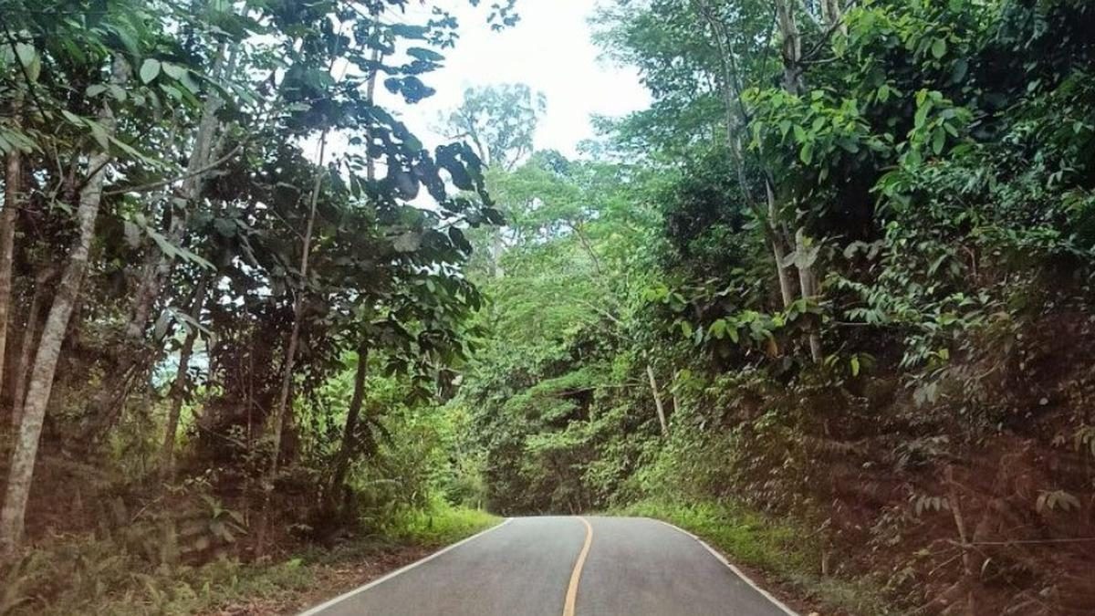 Dishut Kaltim Paparkan 5 Prioritas Lestarikan Ekosistem Hutan