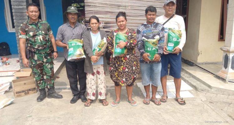 Gempur Ketahanan Pangan: Koptu Lukman Kawal Benih Inpari 32 HDB Cikedung