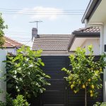 Halaman Rumah Ala Petani Modern untuk Perkotaan yang Efisien