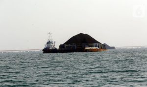 Harga Batu Bara Acuan Juni 2026 Kompak Naik