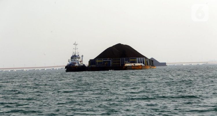 Harga Batu Bara Acuan Juni 2026 Kompak Naik