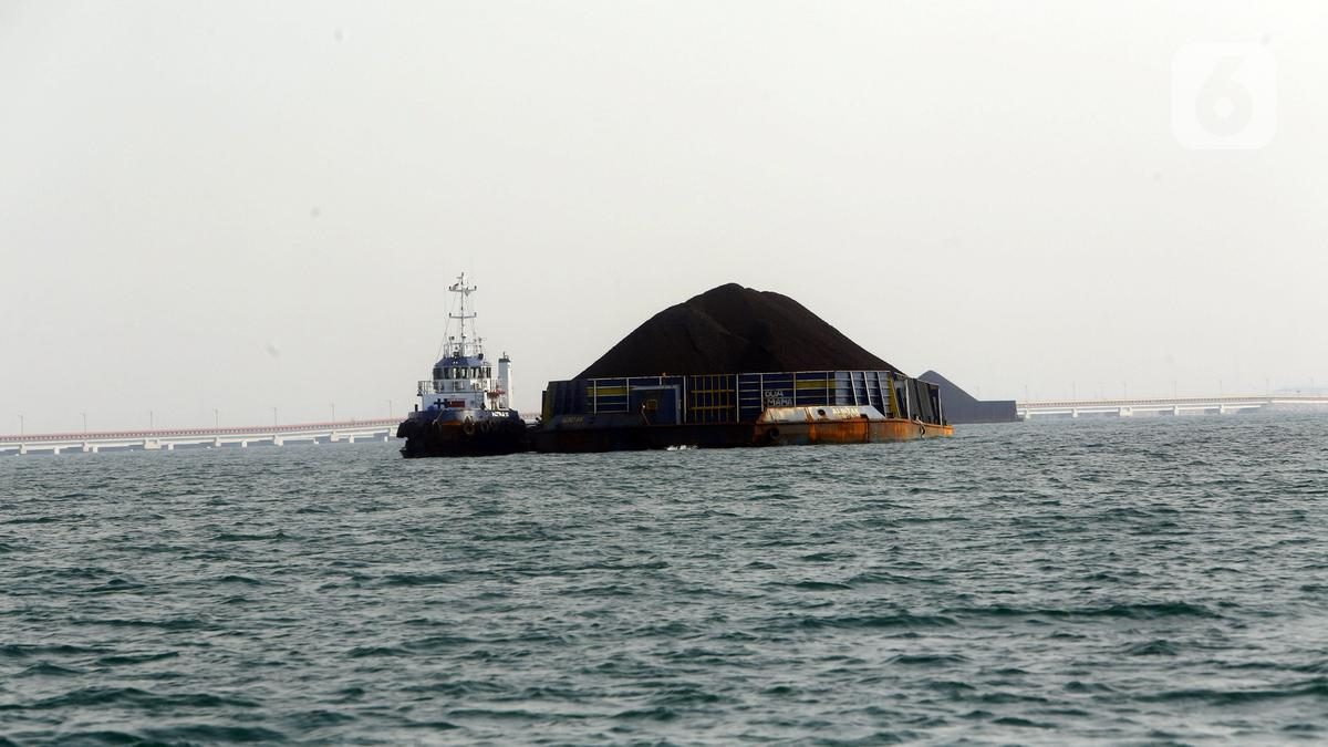 Harga Batu Bara Acuan Juni 2026 Kompak Naik